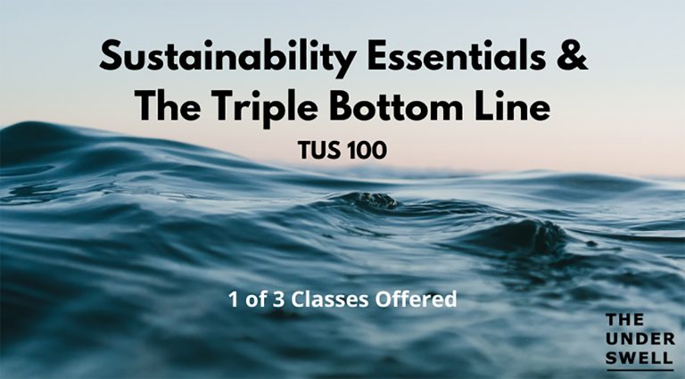 Sustainability Essentials & The Triple Bottom Line