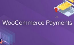 Introducing WooCommerce Payments, a New Solution to Help Merchants Conveniently Manage Payments